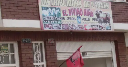 DISTRIBUIDORA DE CARNES EL DIVINO NINO DISTRIBUIDORA DE CARNES EL DIVINO NINO
